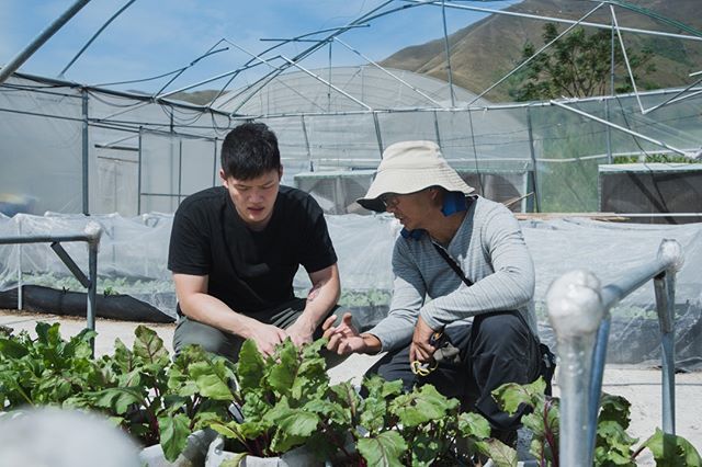 BeetRestaurant's tweet photo. Last chance to book for our second farm series dinner tomorrow, Tuesday, July 9th and Wednesday, July 10th at 7PM! Join us for a special produce-focused tasting menu highlighting our favorite seasonal produce from Hong Kong’s farms. Email info@beetrestau… https://t.co/WHps6KSVMx https://t.co/YnVR6OrNd6