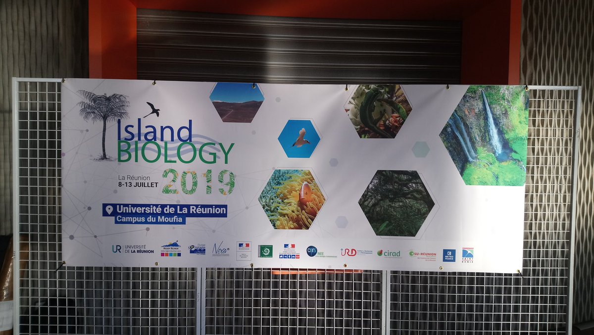 DocMartinKew's tweet photo. And we're off #islandbiology2019
Looking forward to representing @KewUKOTs @KewScience at this international conference. @MichDSan14 will be presenting #BVITIPAS #KewBVI project and I'll present #KewPR #Boraginales Varronia bellonis project. https://t.co/mu2IYrOJxG