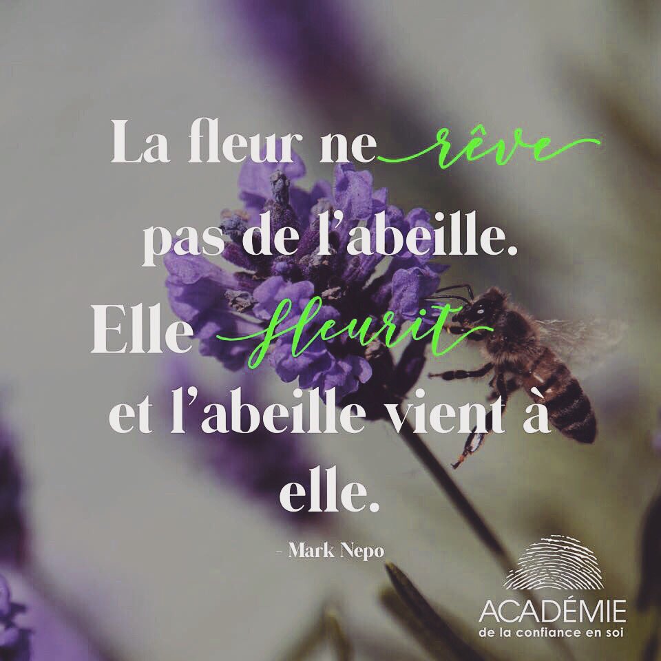 ~Synchronicité et coïncidence...