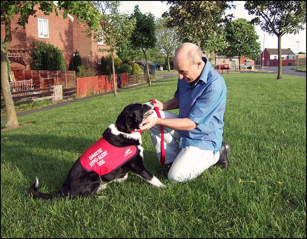 usefultipsforl1's tweet image. If you have got a dog, you’re undoubtedly a lucky person. 
fully read - bit.ly/2L4VMHi
#dogarticle #dogowner
