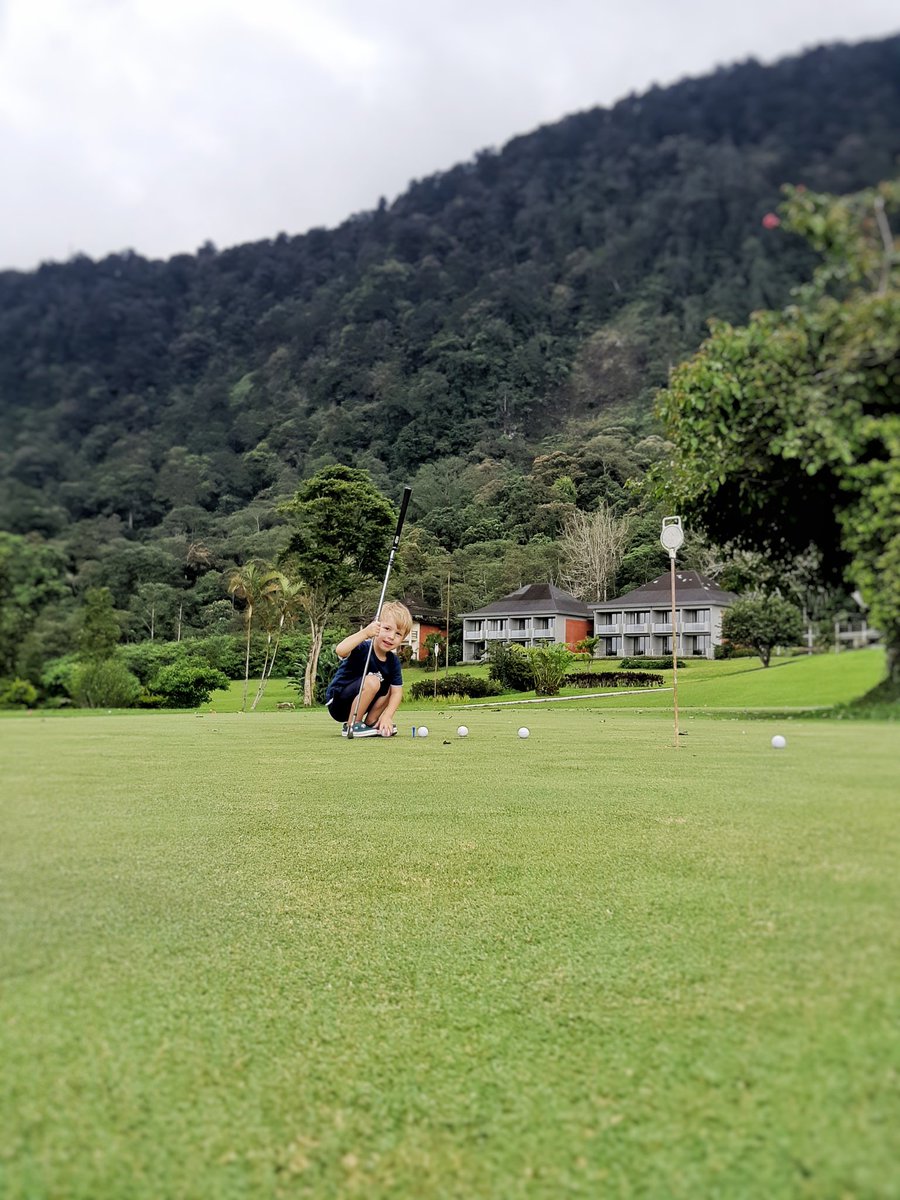 Handara Golf Resort tweet media