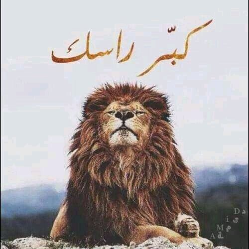 Gooooo (@gooooo01993533) on Twitter photo 