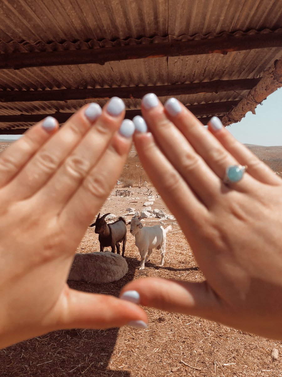 MTNsiah's tweet photo. Israel update: Having the best experience ever meeting new people, seeing new places, and learning tons! #ILSI2019 https://t.co/vRbaCZkxxw