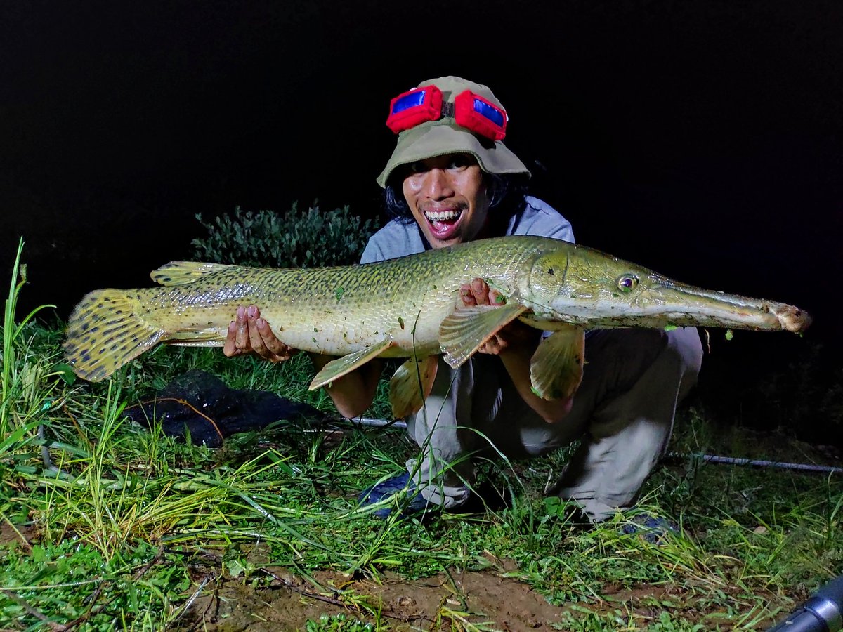 Caught my First PREHISTORIC FISH.
The Alligator GAR.

This is so rare to catch in the PH, so I'm very thankful for this experience :D
Thank you sir Ken Espinosa for letting me fish in his pond!
Added to my Fishdex

#fishing
#RiverMonsters