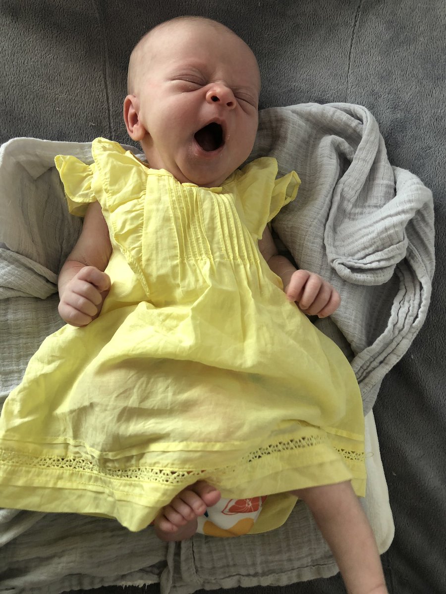 Sophie Guerin tweet media