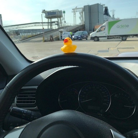 BedBrambles's tweet photo. Another little Brambles duck is off to Europe. Bon voyage little duck happy holiidays 😘 @BedBrambles #luxuryb&b #Kent #dover #doverferry https://t.co/07ghQem1uC