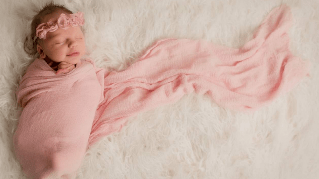 PfvKids's tweet photo. Discovering PFV: Everleigh’s Story https://t.co/ma9Ur55psh https://t.co/ChhkOZ5iex