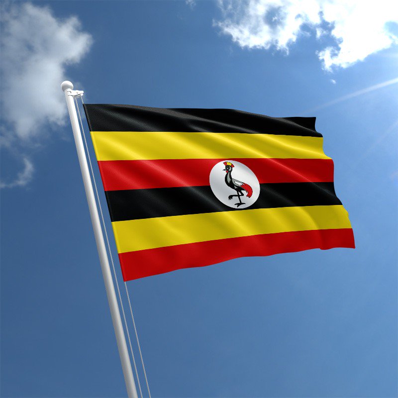 The Ugandan group has arrived safely and a message from Angela. "After a long flight, we relaxed by the hotel pool and ate a chicken and rice dish with a tasty avocado salad.  We watched the sunset and listened to the grasshoppers chirping in the hotel grounds".#Uganda2019
