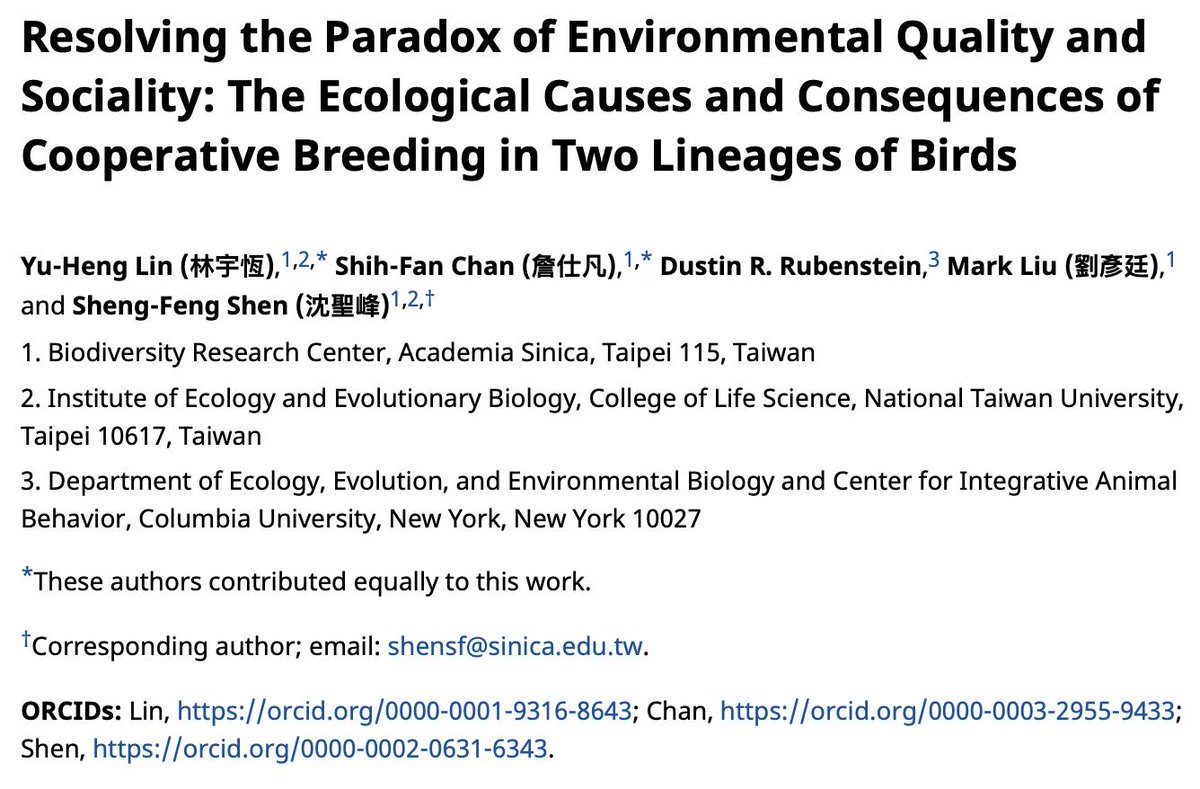 Shan Huang（黄珊） tweet media