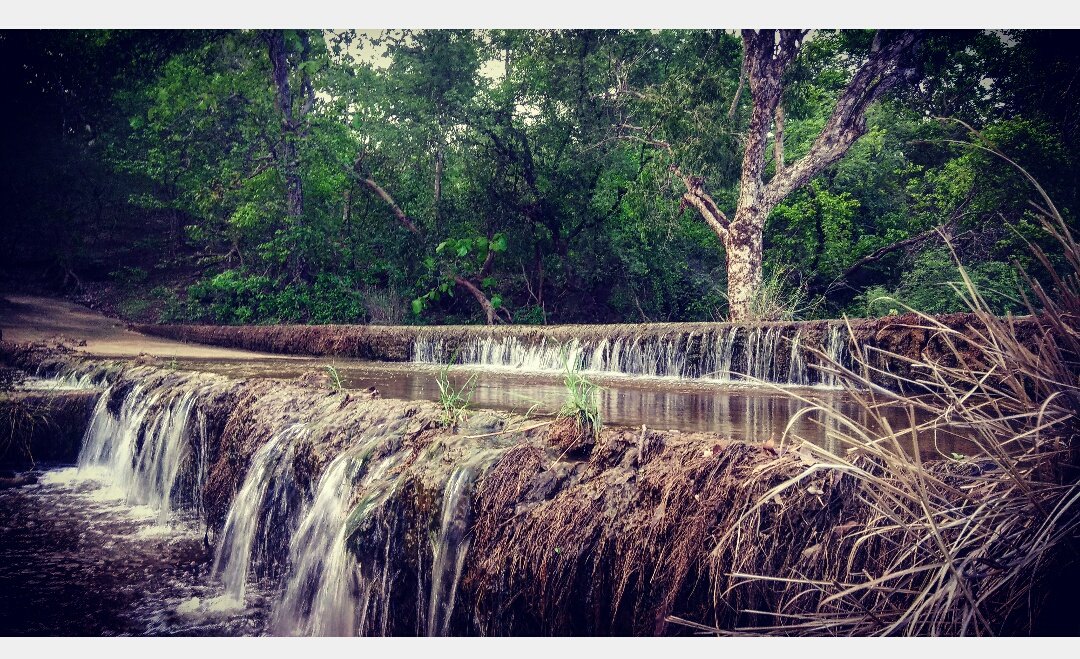 DCF GIR East Dhari tweet media