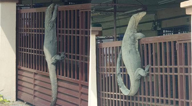 Udah siap pengumuman sbmptn?