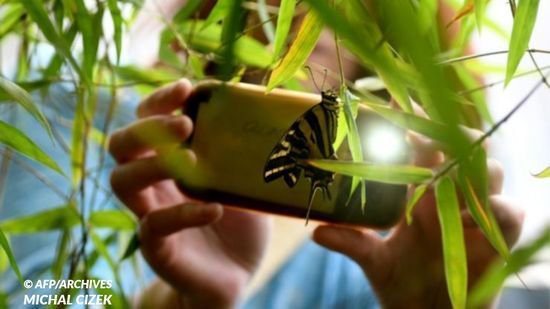 'Envie de musarder utile cet été ? Faites des sciences participatives.' 

@ObservSaisons @VigieNature @TelaBotanica  #SciencesParticipatives  #environnement #biodiversite
leblob.fr/actualites/env…