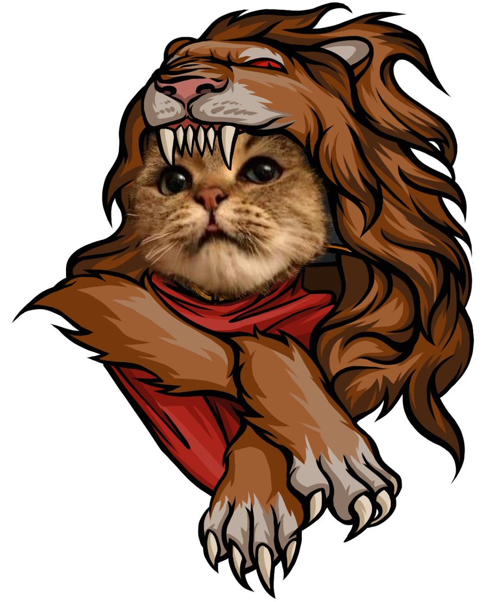 Choose your fighter!