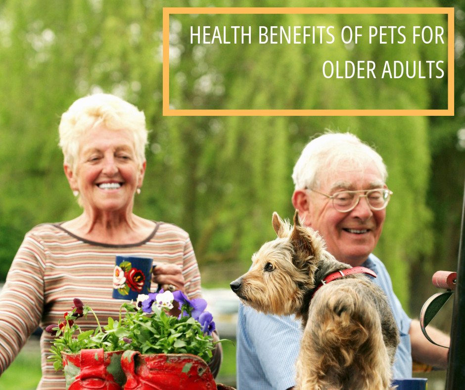 Owning a pet can turn a human's life around 360 degrees. Getting a new family member to take care of can play an important role in healthy ageing:
🐈 You can boost your vitality
🐕 Find new friends
🐈 Find a new special one to make you happy