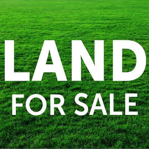 WrightSpecter's tweet photo. A rectangular half-acre (freehold) plot in Mbuya is available for Ugx 850mil.

📞+256777513737 or +256705153737 https://t.co/FGQIhXmdKQ
