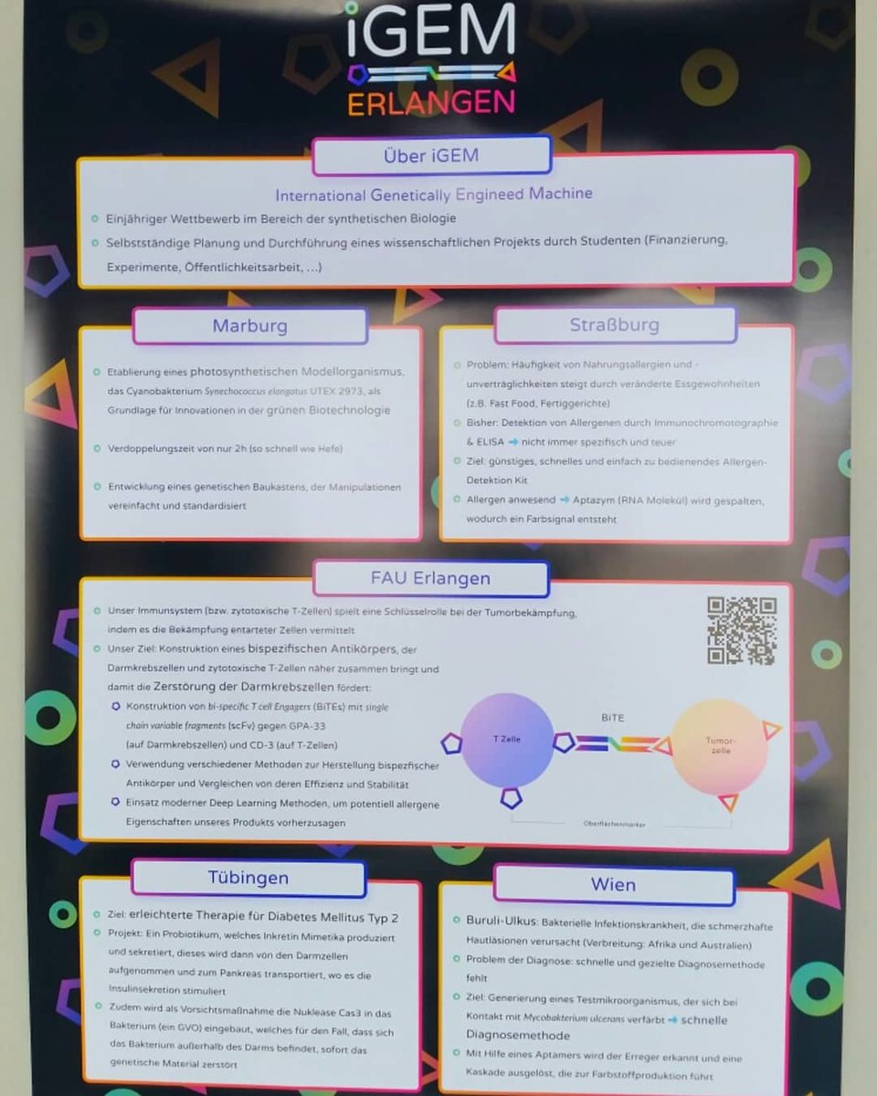 For the #dayofimmunology we started a #collaboration with @iGEMmarburg2019, <a href="/IgemStrasbourg/">iGEM Strasbourg</a>, <a href="/iGEMTuebingen/">iGEM Team Tübingen 2022</a> and <a href="/igemvienna/">iGEM_Vienna</a>. We presented 5 different iGEM projects to the public to demonstrate how diverse the field of application for synthetic biology can be! 😮
#doi #igem2019