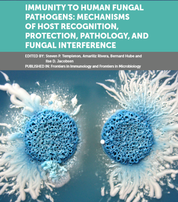 FrontImmunol's tweet image. Read the article collection on #Immunity to Human #FungalPathogens

eBook and articles published #OpenAccess in @FrontImmunol and @FrontMicrobiol - download for free at fro.ntiers.in/FungalPathogens

@FrontiersIn #microbialImmunology