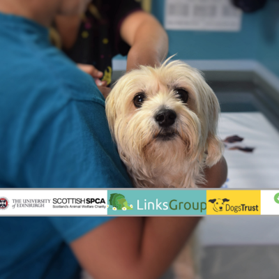 EdinVetsSurvey's tweet photo. 🔊 There are only a few weeks left to fill in our worldwide survey on vets' experiences of #NAI,  #AnimalAbuse, and #thelink to human violence. 

Please help us SHARE &amp; FILL in the survey here ➡️ https://t.co/vd5PwYHsS9

@Battersea_  @PDSA_HQ @bestfriends @FoAorg @PetSmartChariTs https://t.co/Un1n2EYTvy