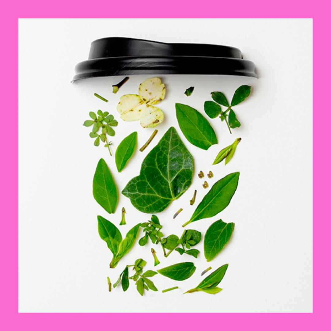 edinburghpalms's tweet photo. We're proud that we use and compost only VEGWARE straws - no plastic allowed on this tropical island!
In fact we run our home ENTIRELY on green energy too. What can we say, we just loooove plants 🌱💚
#greenedinburgh #gogreen #vegware #climateemergency #Edinburgh #Scotland https://t.co/ktsfumF8Hp