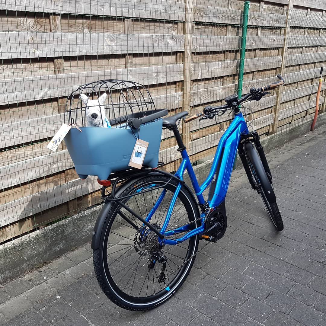 basil buddy pet basket