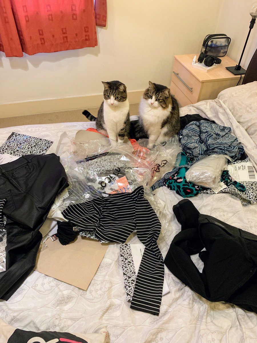 simmjenkinson's tweet photo. Forever being judged 🤦🏻‍♀️👀

#FurBabies https://t.co/bHGXPrHrgE