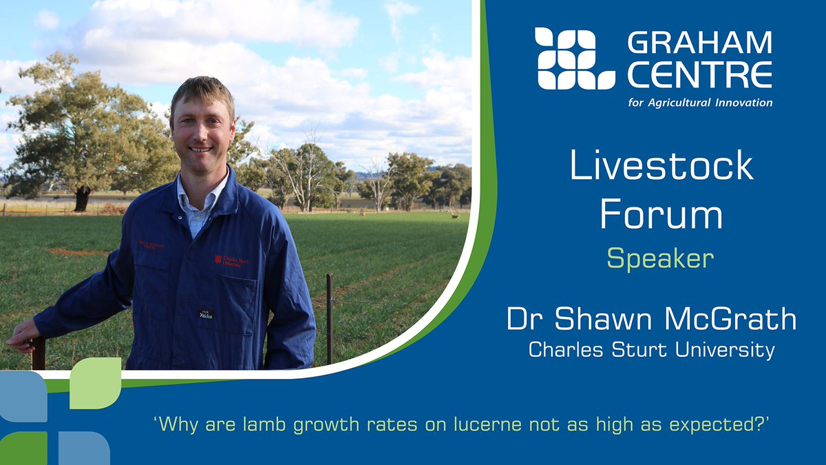 🌱🐑Lambs, lucerne and supplements on the program at the Graham Centre Livestock Forum on Friday 16 July in #Wagga. Book online ow.ly/R7tK50uVdLa #CharlesSturtResearch #agchatoz