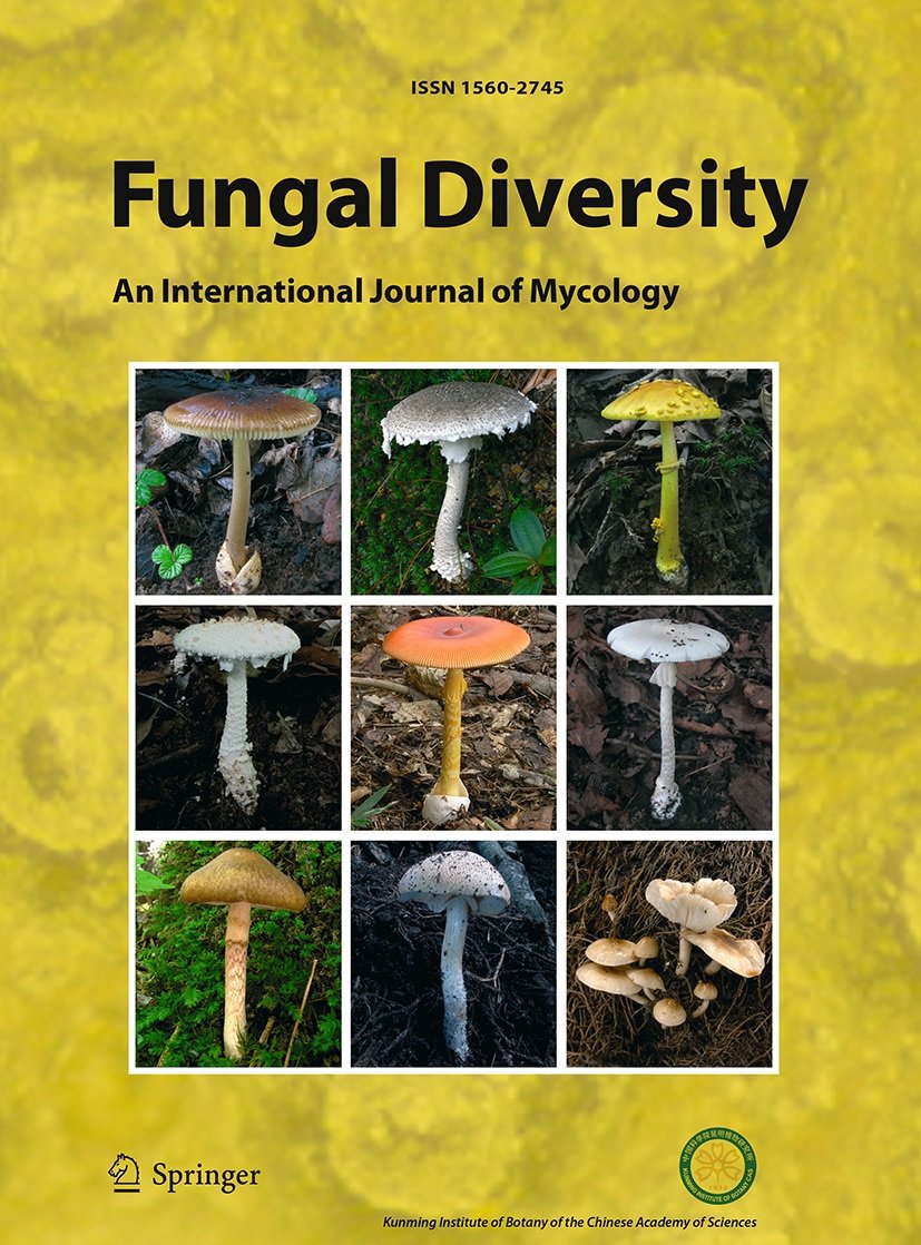 The unbearable lightness of sequenced-based identification is the latest #Fungal #Diversity #openaccess paper rdcu.be/bJeIi #SNFUDI #SpringerNature #GenBank #fungalidentification #internaltranscribedspacers #fungaltypesequence #terrestrialecosystems #fungalbiodiversity