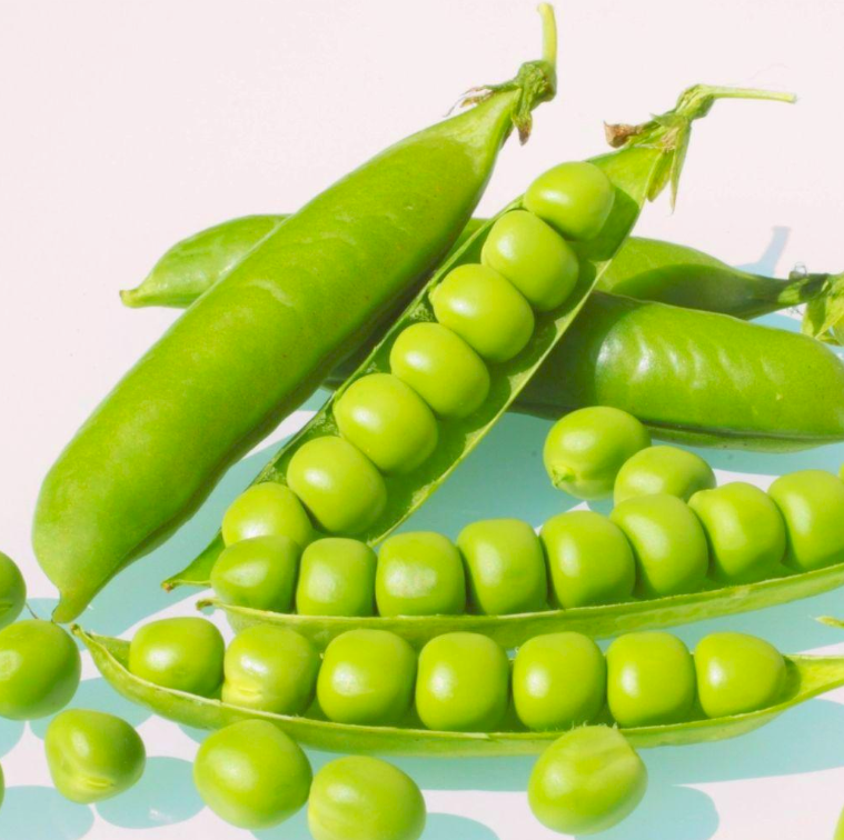 FriarsPride's tweet photo. Hap-pea Monday! Thatβs right, itβs #greatbritishpeaweek!
How are you going to be celebrating the #pea?
#peaweek https://t.co/NC7XT5XJWg
