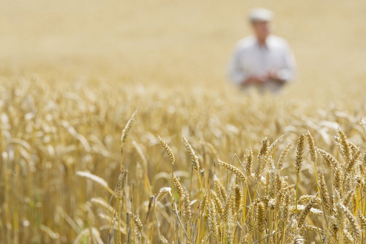 Is UK Agriculture making positive steps in good stewardship, better regulation and best practice? We think so.  Follow us to find out more #CropProtection