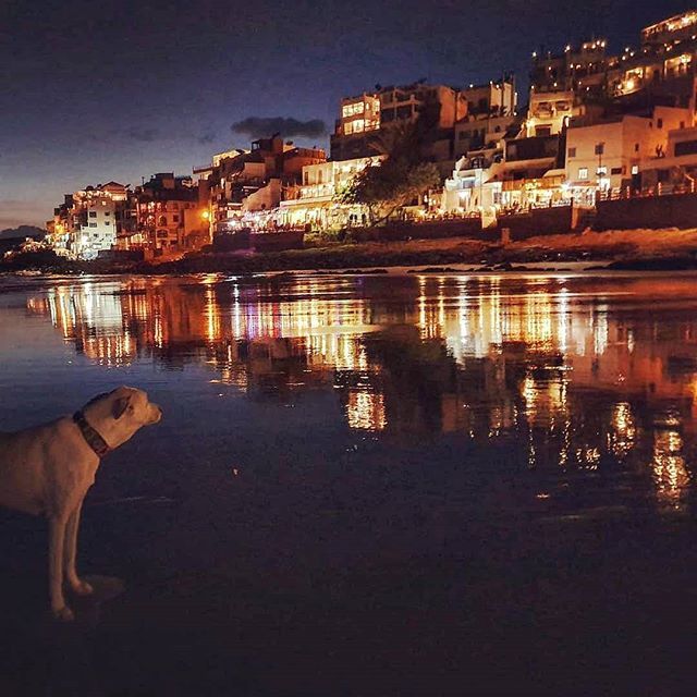 SurfBerbere's tweet photo. Taghazout by night!
.
Great photo by @mungaguesthouse
.
.
.
.
.
.
.
.
.
#taghazout #surfberbere #morocco #surftrip #anchorpoint #anchors #hashpoint #surfers #coffee #cafe #cafedumonde #coffeetime #doglovers #nightlife #sunset https://t.co/W9jUMkVThR