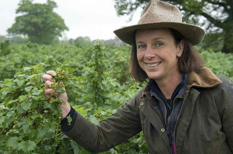 Tried_Supplied's tweet photo. Jo Hilditch of @UKBlackcurrants and @WhiteHeron1876 chats about British Cassis, blackcurrants, and her purple velvet cocktail, which is a fun take on the classic black velvet! 

Find the interview here: https://t.co/IKkAZZPODT

#locoforlocal #buybritish https://t.co/0P3FZ4TIRn