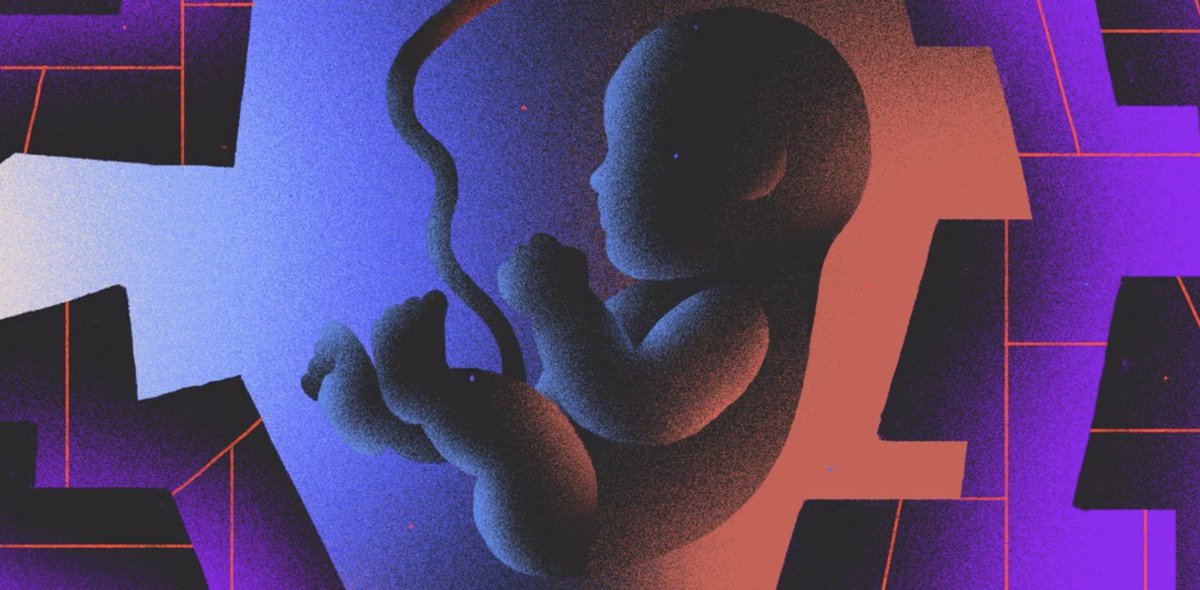 Les bébés-OGM gagnent du terrain. Anecdotique ou historique ? bit.ly/2YqzcMp by <a href="/techreview/">MIT Technology Review</a> #Biotechnology #CRISPR