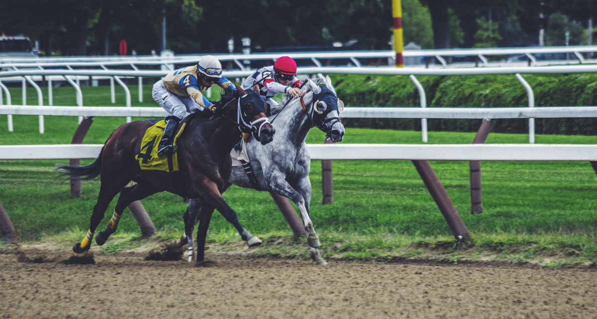 JISS - Jockey Injury Surveillance Study tweet media