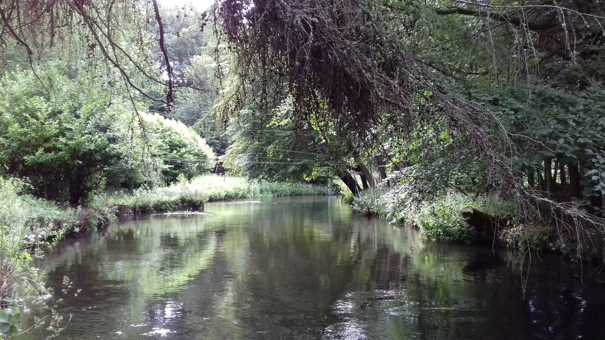 ljmabon's tweet image. Good wee walk up the River Don. Highlights included this tranquil stretch of river by Seaton Park, the community hydro energy project run by @ACEnergy2016, and a mural featuring Aberdeen legend Willie Miller!