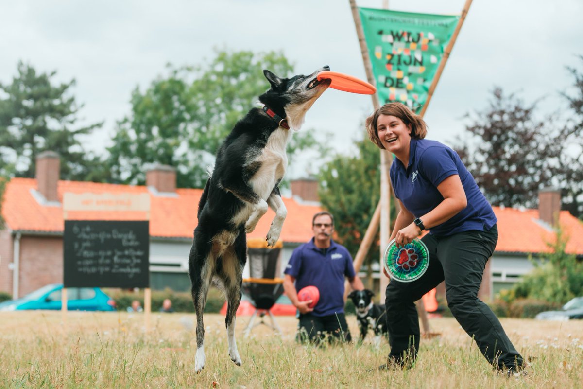 Ruimtekoers tweet media