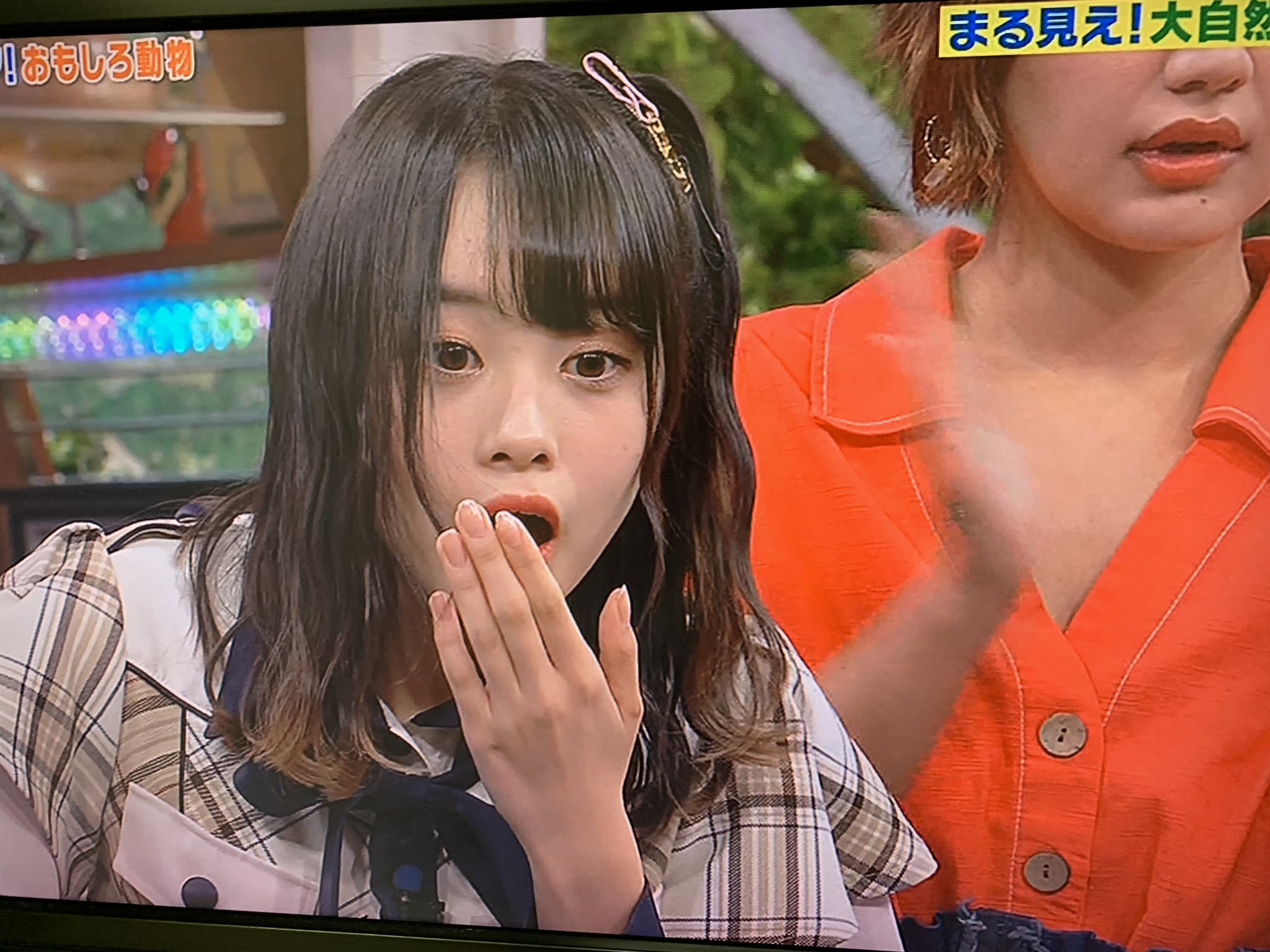 ど やっとこさ休憩に入れてテレビつけたら めっちゃ可愛い子映ってたねんけど この子のお名前はなんですか 世界まる見え Akb48 横山結衣 T Co Vkrajhdtyy Twitter