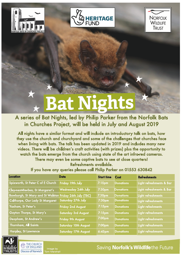 _BCT_'s tweet photo. A series of Bat Nights, led by Phil Parker from the #Norfolk #Bats in Churches project, will be held in July and August 🦇⛪️ Further details below https://t.co/qXYAn525BX