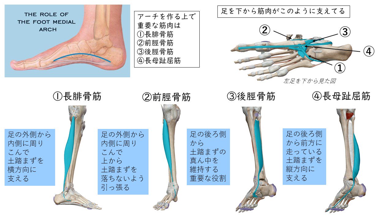 偏平足 凹足 外反母趾 足底筋膜炎などの足の変形の治し方 Twitter