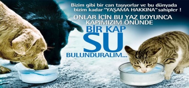 <a href="/EsenRaz/">Esen Sandıraz</a> ve <a href="/bircankeles/">Bircan Keleş</a> ile kelebek etkisi eğitim hareketi devam ediyor. 6.gün. Bugünkü konularımız picfont, balık kılçığı tekniği ve diyagramı, classtools, projelerde yaratıcı ve kaliteli etkinlikler,kaliteli proje kriterleri, eTwinningebaonline ve EU Codeweek, kitap okuma.