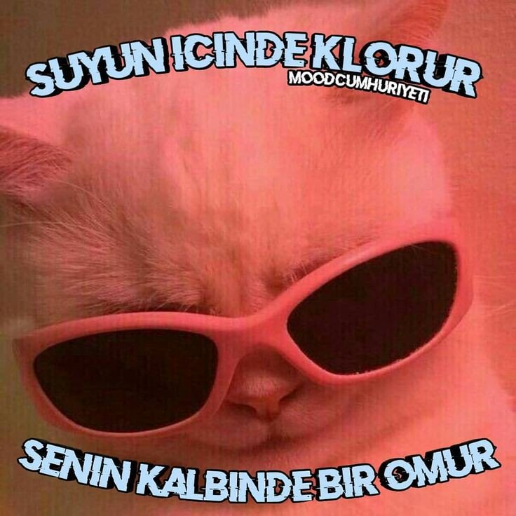 Planetself tweet media