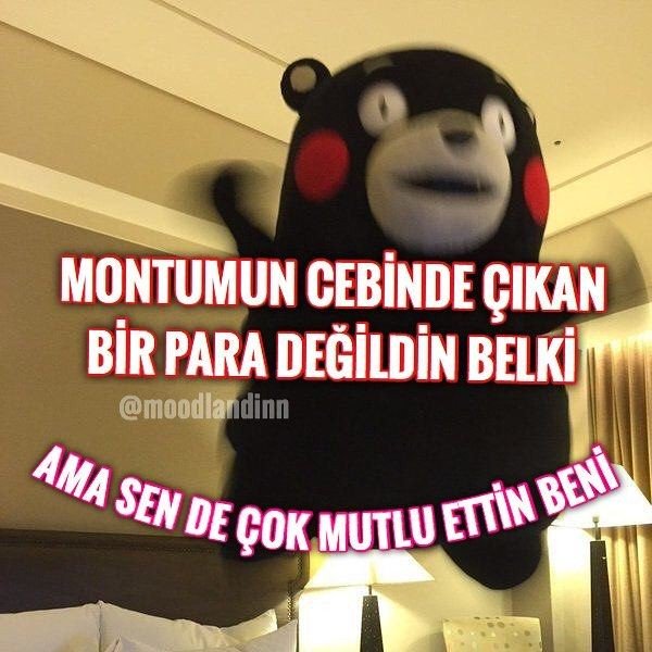 Planetself tweet media