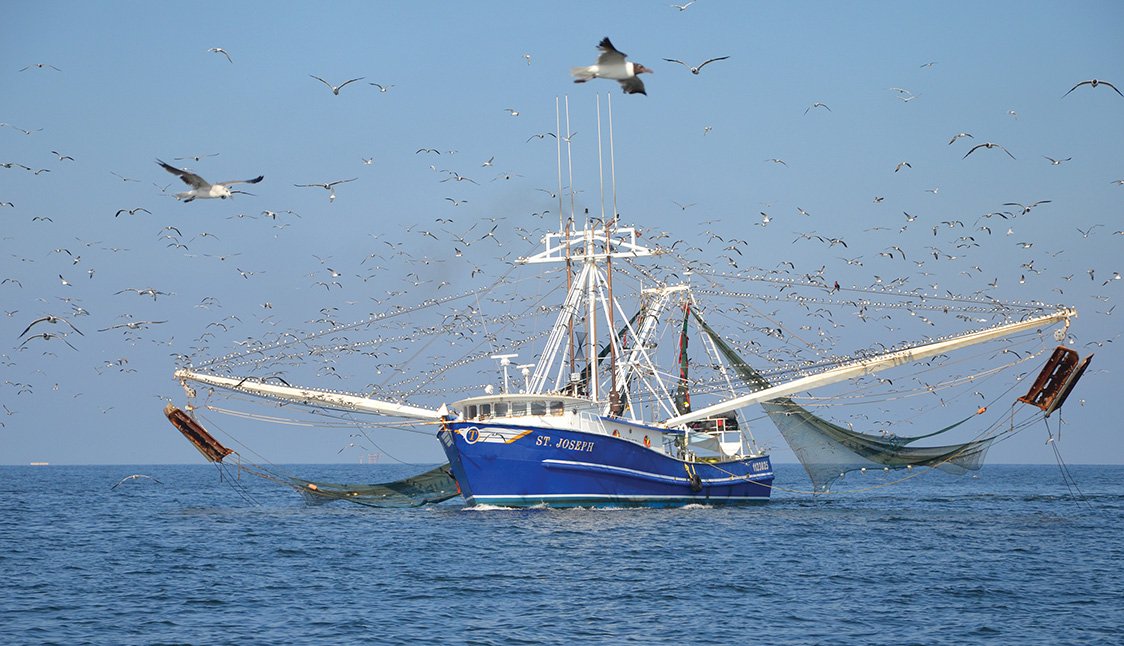 Kevin_Jackson's tweet image. AT&amp;amp;T Finance Solutions GM on Shrimping, Software, and CX buff.ly/2JmVlGu #CloudMusings