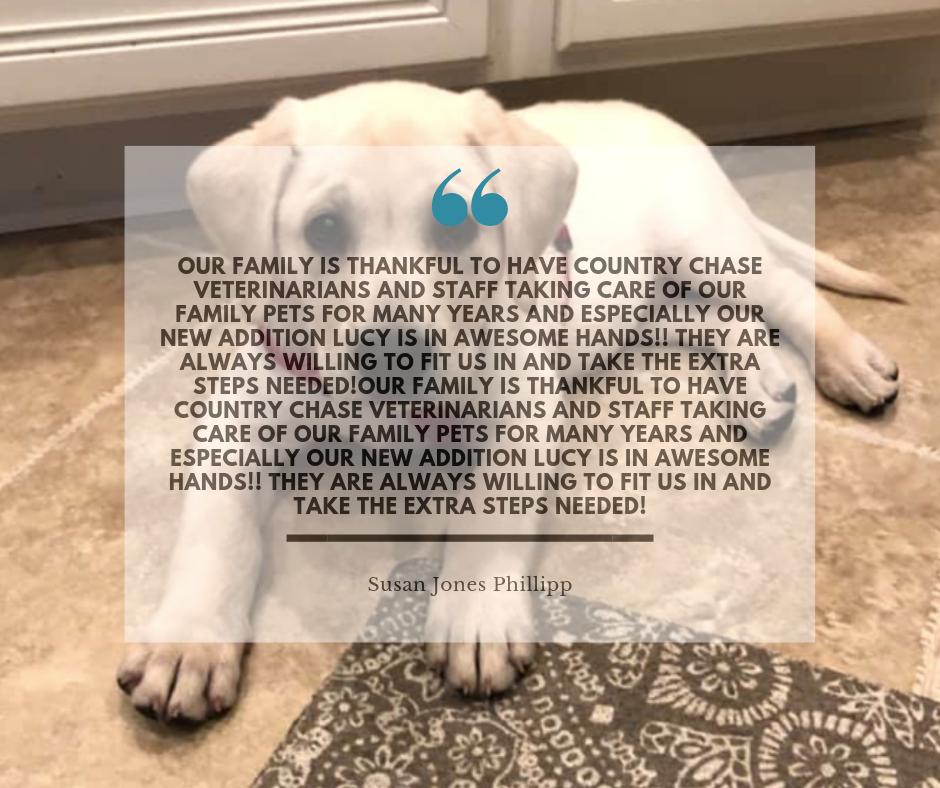 Thank you for the awesome review, Susan! 

Read more reviews>>>  1l.ink/6ST25KG
.
.
.
.
#CountryChaseVeterinary #Veterinarians #Vets #PetCare #PetDental #Healthy #HealthyPets #PetServices #Tampa #Florida