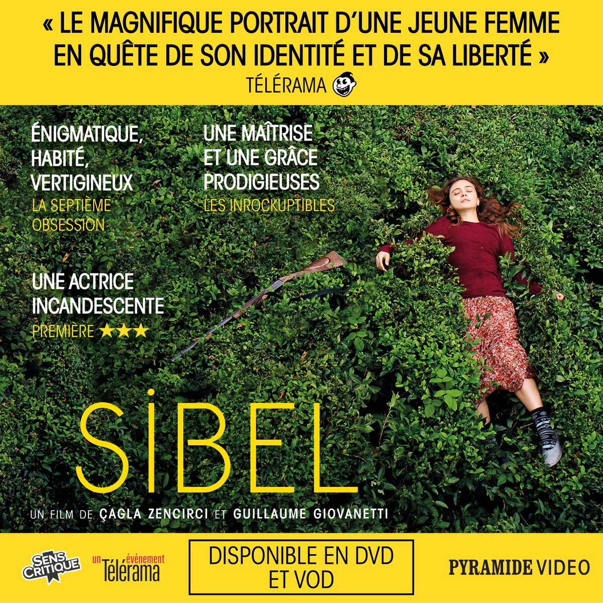 Pyramide Vidéo tweet media