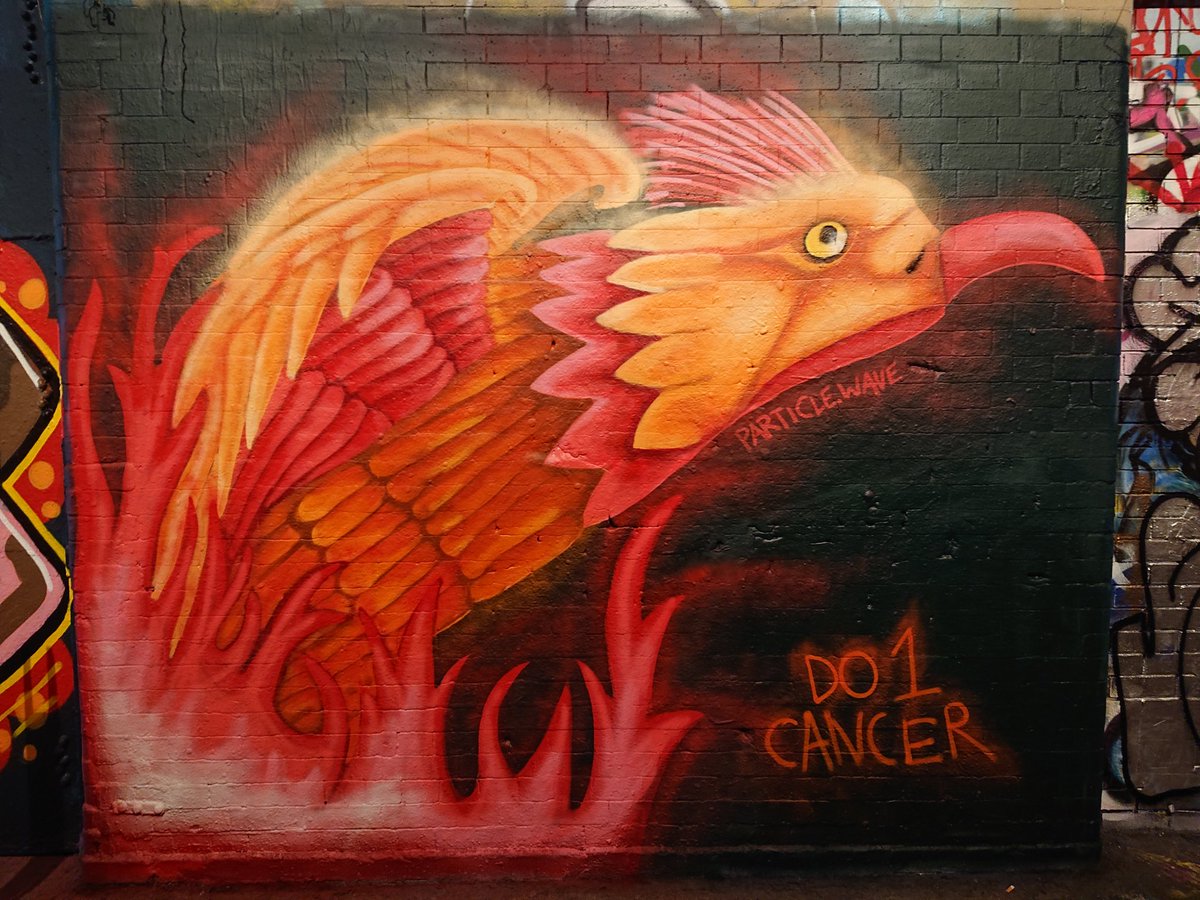 ClarkStupot78's tweet photo. #do1cancer is a message I can really get behind at the moment. Some amazing artwork @LeakeStArches this morning, in aid of @macmillancancer https://t.co/pvIxigEIMX