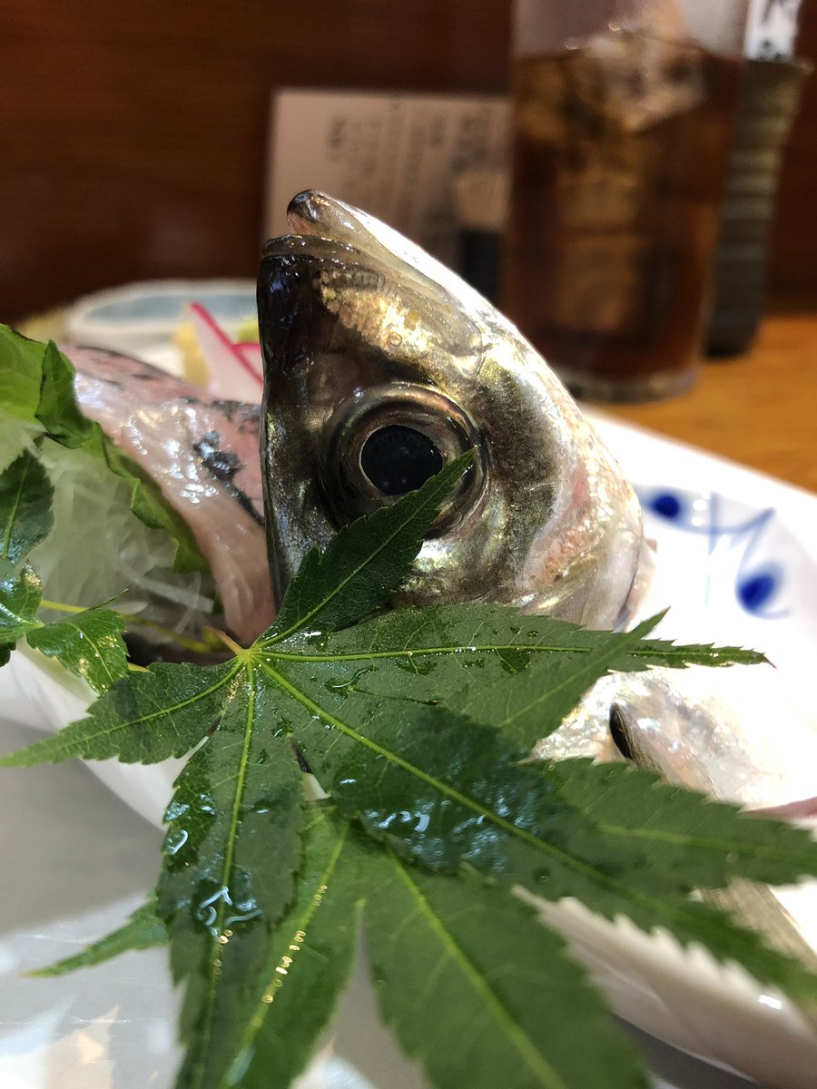 TDigested's tweet image. Before and after, and in-between. 

#grilledfishhead #horsemackerel #ajifish #sashimi #fishcarpaccio #izakaya #myfavorite #tapas #realjapanesefood #authenticjapanesefood #japanesefoodblogger #foodblogger #foodhunter #theworlddigested 
#アジのお造り #鯵 #炭火焼 #大阪居酒屋