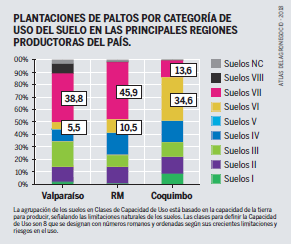 LandeckH's tweet photo. A pesar de la grave situación siguen plantando paltos en suelos no aptos para cultivo agotando suelos y napas subterráneas
#EmergenciaClimática #COP25

#ActNow https://t.co/XipHGOfIP9