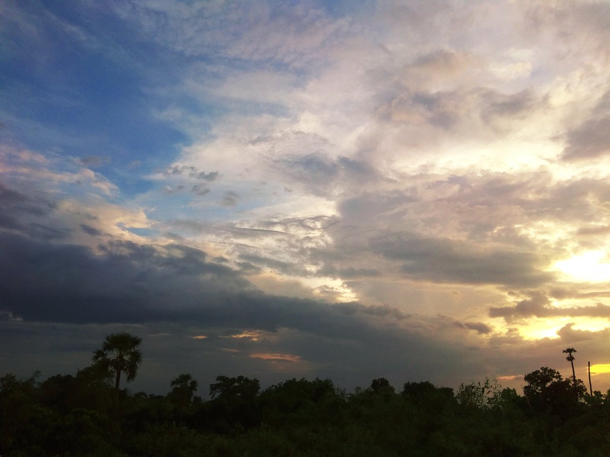 Sanjanasingh196's tweet photo. Look deep into nature and then you will understand everything better.
#beauty #naturelovers https://t.co/mdaTsxC7q2