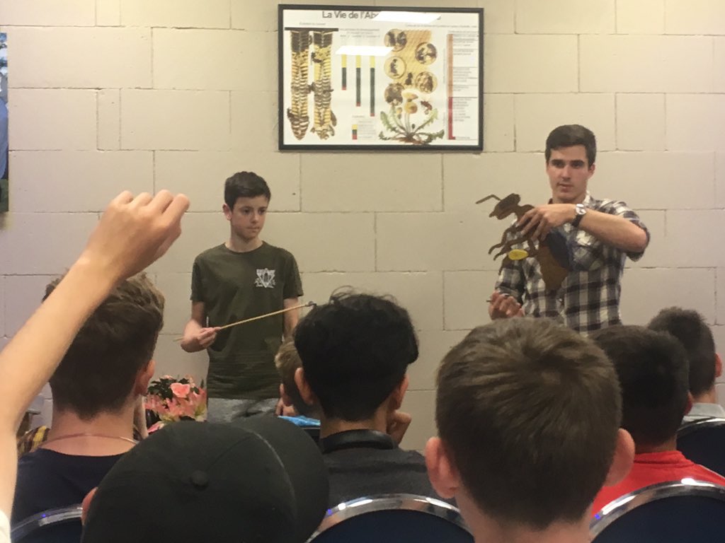 StColumbasTrips's tweet photo. #SCCForm2 building a hive! https://t.co/UO5LyKNrPt