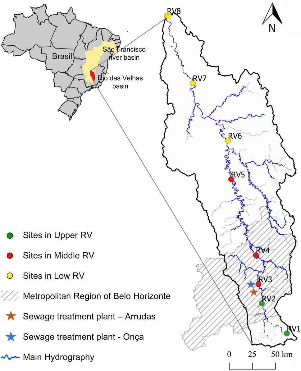 Zoologia_journ's tweet photo. The more polluted the river, the more overlapping the food preferences of 2 congeneric #characid #fishes, shows a new study conducted in Brazil.

Study: https://t.co/bbve14th9K.
@Paulo_S_Pompeu #Ichthyology #Biodiversity #Ecology #Biodiversity #Conservation #Pollution https://t.co/iq64LtgDx1